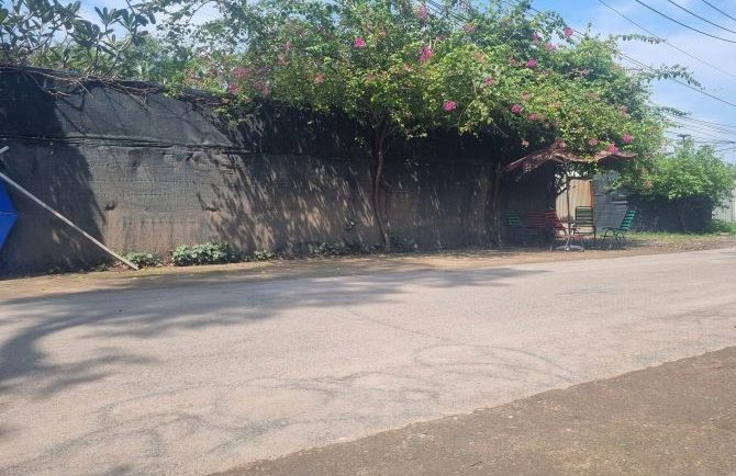 Cho thuê 4600m2 đất mặt tiền đường Rạch Ông Đồ, Bình Chánh